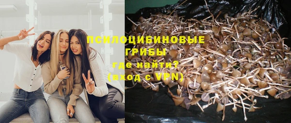 трава Алексеевка