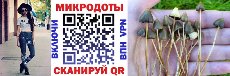 Галлюциногенные грибы прущие грибы Тосно